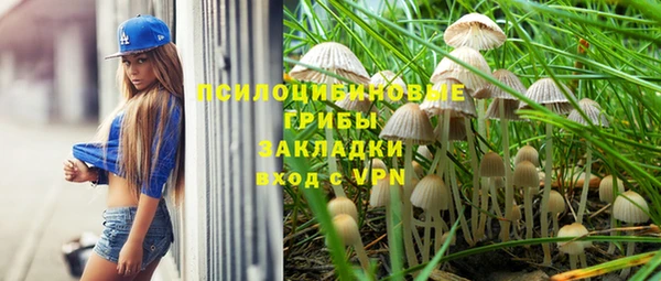 стаф Нягань